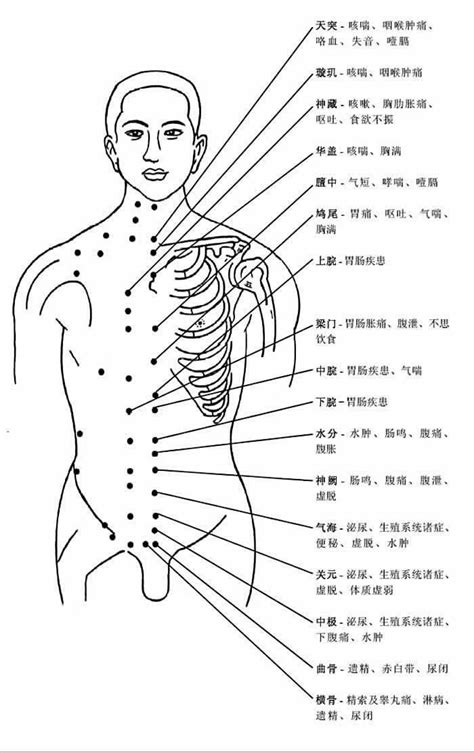 人身穴位圖|人體穴位圖（帶穴位功能主治說明）